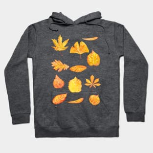 Yellow Autumn leaves collection watercolor Hoodie